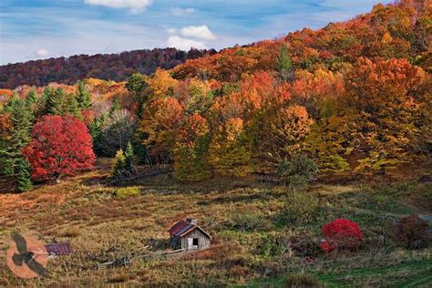 Scenic Valley With Fall Foliage Colors In West Virginia Countryside