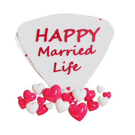 feliz vida casada 3d ilustración 16659024 PNG