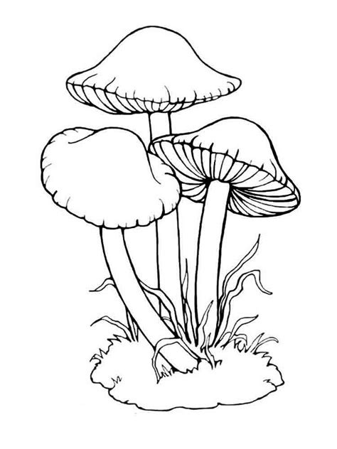 There's something about the fanciful nature about mushrooms that make them so much fun to. Mushrooms coloring pages. Download and print mushrooms ...