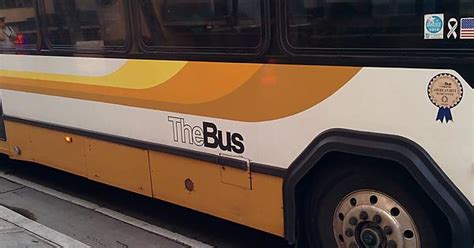 Bitch Im The Bus Imgur