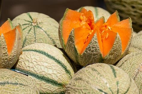 Comment faire mûrir plus vite un melon