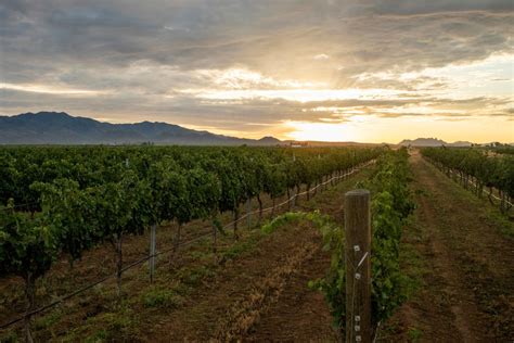 10 Best Sedona Wineries In The Verde Valley Of Sedona