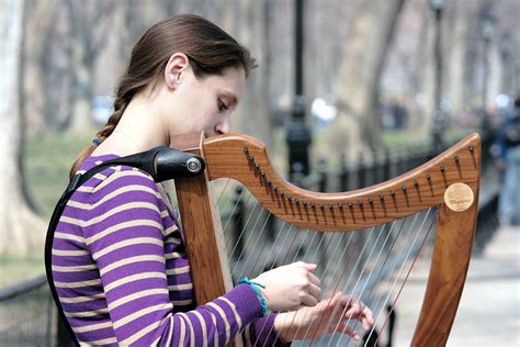 Harp For Beginners 5 Basic Questions Everyone Has Askedminnesota