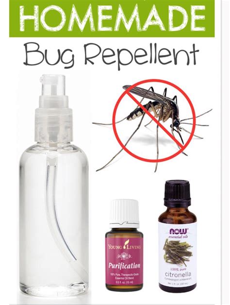Homemade Bug Repellent Safe For You As Well As For Environment 👍🏻 Musely