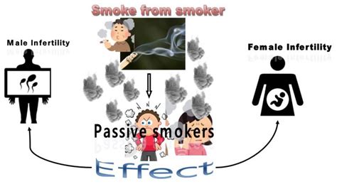 how passive smoking effects fertility health vision