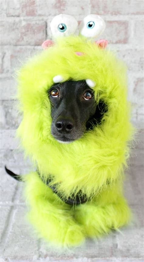 Adorably Scary Costumes For Dogs Dog Halloween Halloween Dog Treats