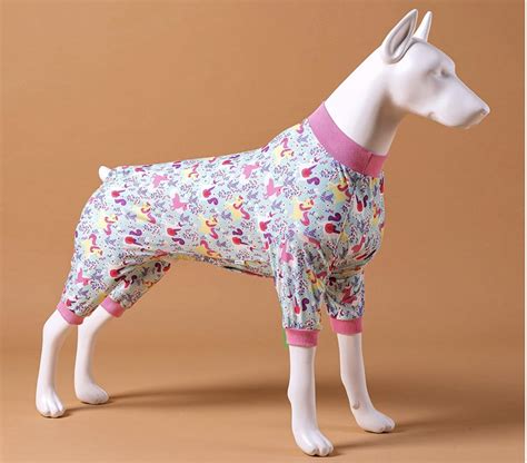 Want Clothing Options For Your Large Dog The Best Large Dog Clothes