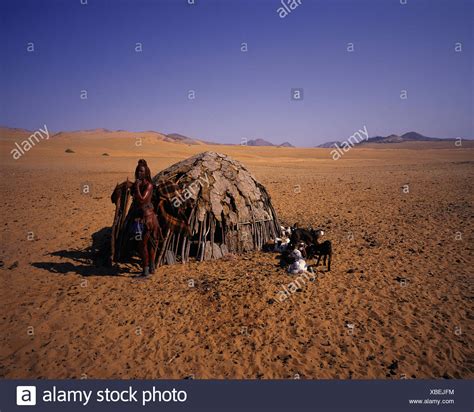 Himba Woman With Goat High Resolution Stock Photography And Images Alamy