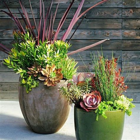 Succulents In Pots Outdoors A Guide To Growing And Caring For Your