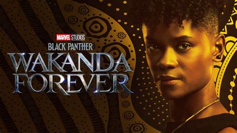 Watch Black Panther Wakanda Forever 2022 Movies Online Easymoviesvip