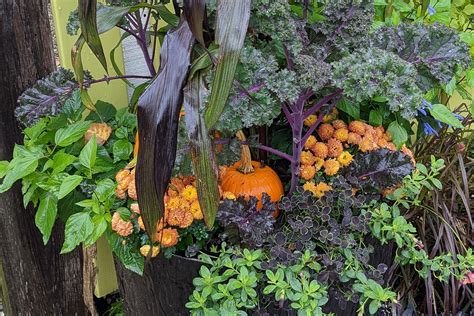 Fall Container Garden Ideas And Tips 1 · Nourish And Nestle