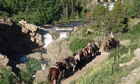 Glacier Horseback Riding Horse Trail Rides Horseback Riding Vacations