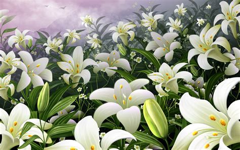 White Lilies Wallpaper Wallpapersafari