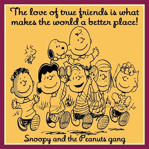 So True Lucy Charlie Brown Charlie Brown Peanuts Peanuts Cartoon