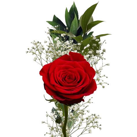 Single Red Roses With Fillers Single Red Rose Single Flower Bouquet