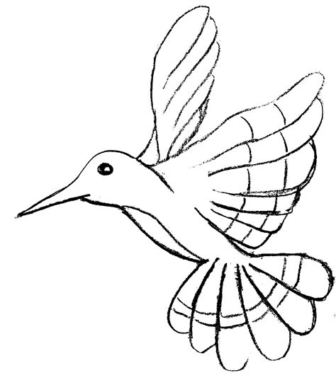 Birds To Download Birds Kids Coloring Pages