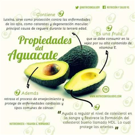 Aguacate Nutrition Tips Health And Nutrition Health Food Healthy