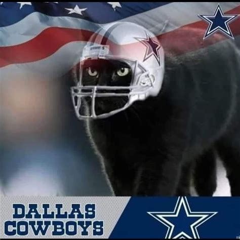 Dallas Cowboys Cat Fan Dallas Tx