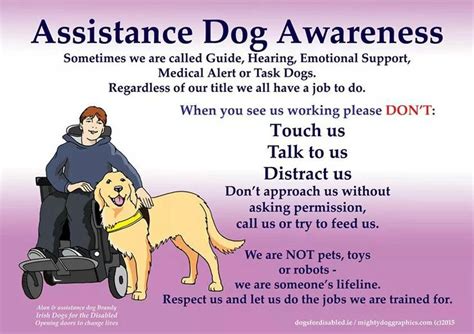 Assistance Dog Awareness Assistance Dog Emotional Support Dog Help