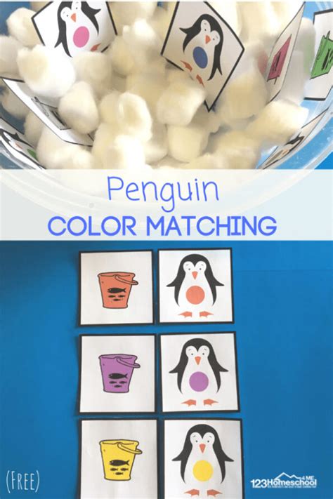 Free Color Penguin Matching Game