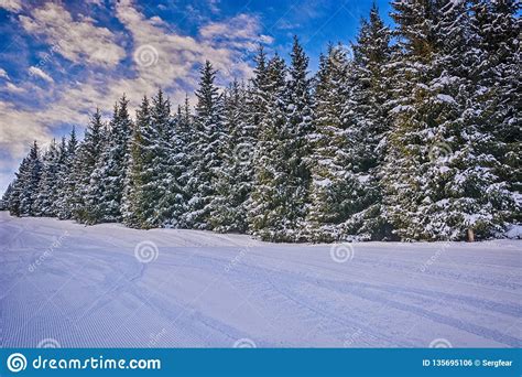 Beautiful Winter Landscape With Snow Forest And Clouds Stock Photo