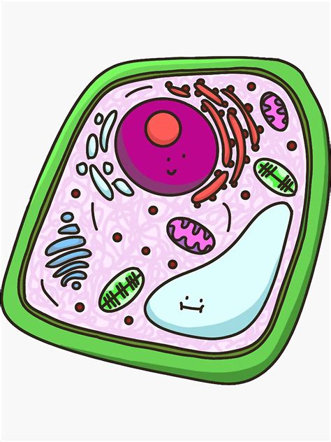 Cute Plant Cell Sticker By Livandchlo Redbubble