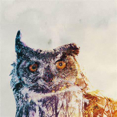 Norwegian Artist Merges Animals And Their Homes In Double Exposure