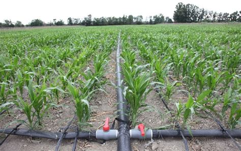 Hot Sale Drip Irrigation Pipe Price For Farming