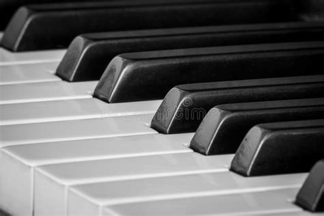 Ebony And Ivory Piano Keys At An Angle In Black And White Stock Photo