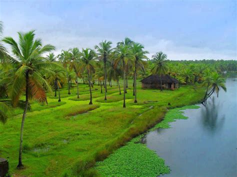 Natural Beauty Of Kerala Beauty Of Kerala Tourist Places To Visit