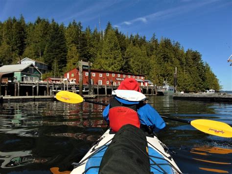 North Island Kayaking Telegraph Cove Bc Gohikingca