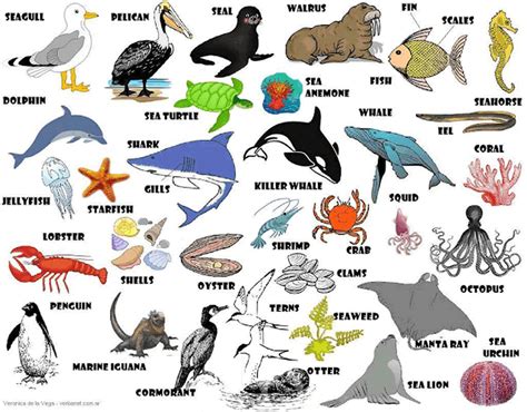 200 Nama Hewan dalam Bahasa Inggris (dari A-Z)