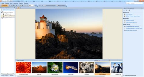 Microsoft Picture Manager скачать Microsoft Office Picture Manager