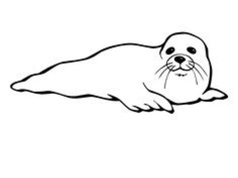 Seal Black And White Clipart 10 Free Cliparts Download Images On