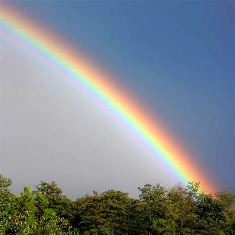 Colors Of The Rainbow Jorddynamic