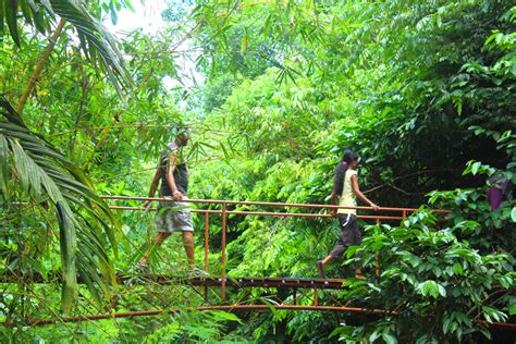 Rain Forest Tours In Sri Lanka Rain Forest Camping Sri Lanka Rain Forest Lodges Rain