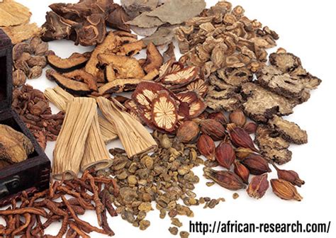 History Of Herbal Medicine In Ghana In Depth African Research Consult