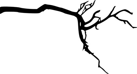 Branch Clipart Tree Branch Silhouette Clip Art Tree Branches Tree Images
