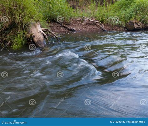 Lateral Fluvial Erosion Fallen Tree Due Water Current Wash Soil Stock