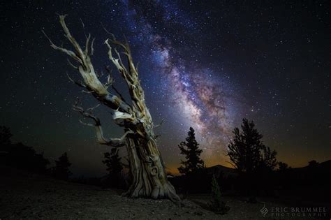 Sad to say, but our galaxy isn't going to be here forever. California Milky Way Season - You Can See The Milky Way