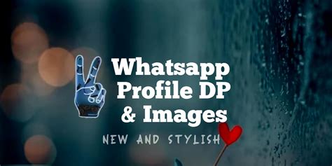 Ultimate Collection Of Full 4k Whatsapp Dp Images Over 999