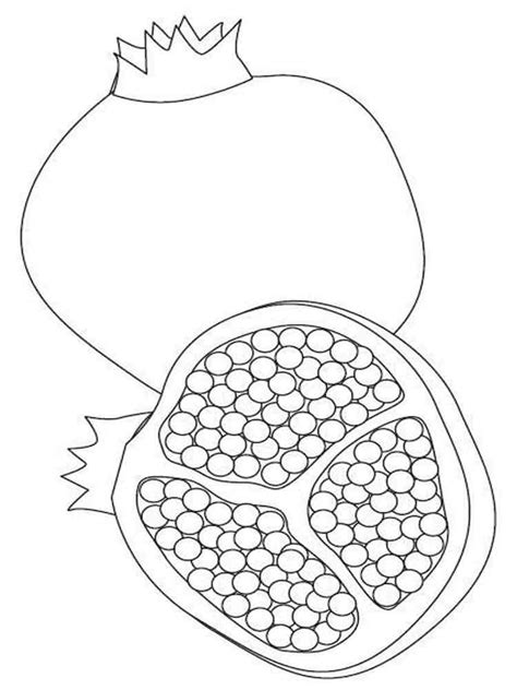 Pomegranate Coloring Page Coloring Pages
