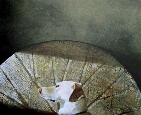 Related Image Andrew Wyeth Andrew Wyeth Art Andrew Wyeth Paintings