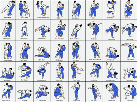 As 40 Técnicas Do Gokyo Judo Martial Arts Workout Judo Moves