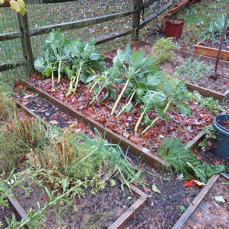 The Rusted Vegetable Garden