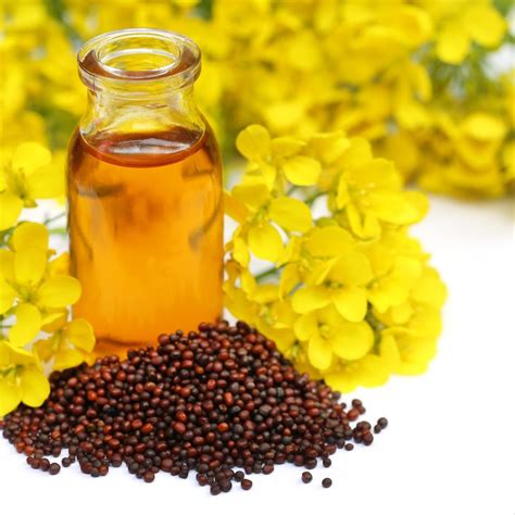 Organic Mustard Oil At Rs 180kg Organic Mustard Seed Oil In