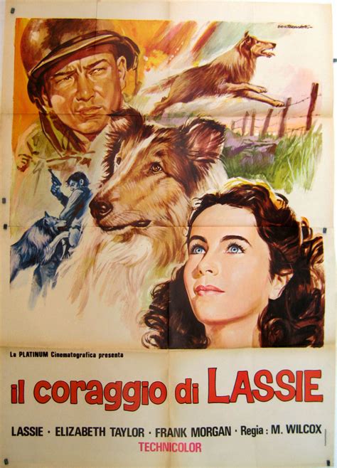 Courage Of Lassie Movie Poster Courage Of Lassie Movie Poster