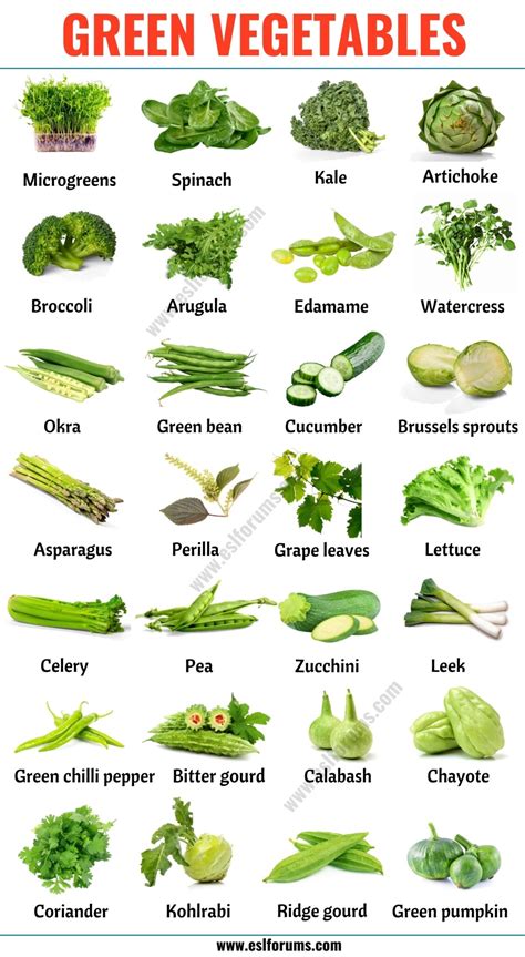 Green Vegetables List Of 28 Green Vegetables In English With Esl