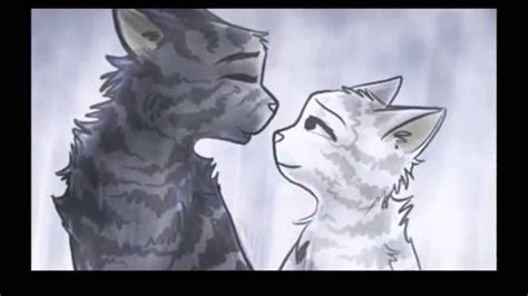 Warrior Cats Graystripe And Silverstream A Thousand Years