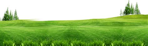 Green Grass Field Illustration Png Grass Meadow Forage Pasture Free